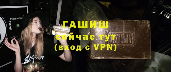гидра Вяземский