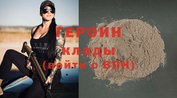 гидра Вяземский